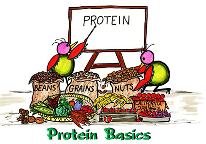 3 loại thực phẩm cung cấp lượng protein không ngờ