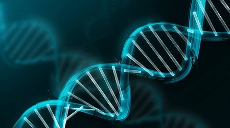 Gene thông minh, sống thọ: Ai là người sở hữu?
