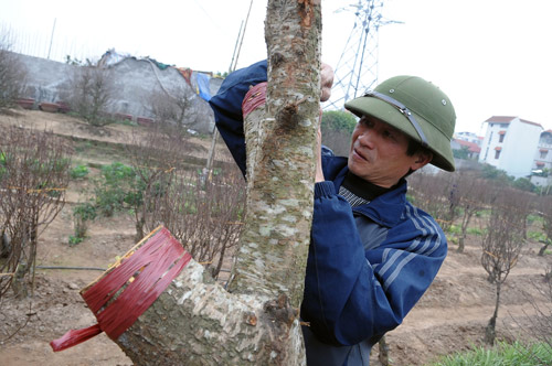 Dịch vụ 