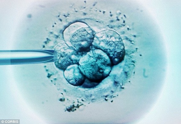 IVF: Hy vọng mới cho những cặp vợ chồng vô sinh