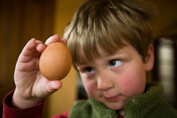 Nên cho trẻ ăn mấy quả trứng gà một ngày?
