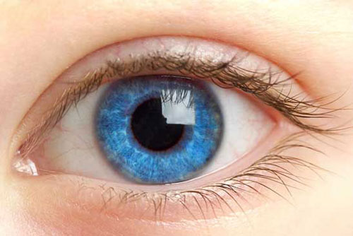 Video: 13 sự thật thú vị về đôi mắt của con người