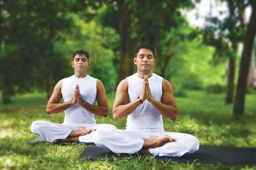Yoga cho dân văn phòng
