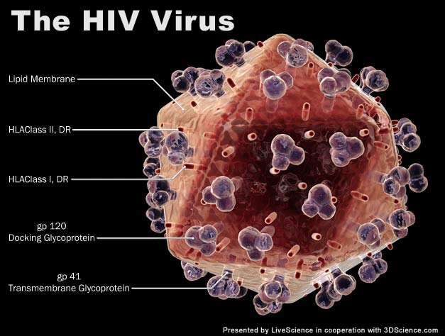 Độ chính xác của kết quả xét nghiệm HIV