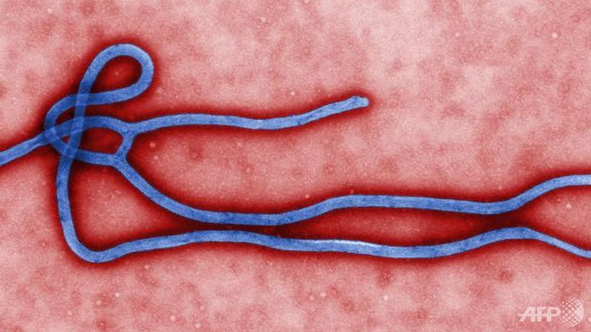 Dịch Ebola lui dần, nhưng vẫn cần cảnh giác