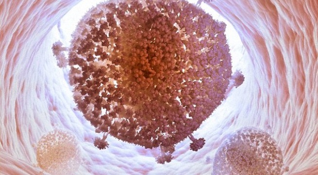 Lần đầu tiên “xóa sổ” virus HIV trong ADN của người
