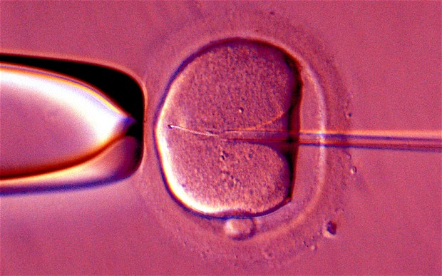 Hơn 40 trẻ chào đời từ tinh trùng hiến tặng mang bệnh di truyền