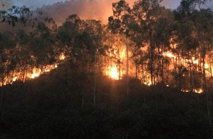 Thanh Hóa: 3 ngày cháy hơn 200 ha rừng