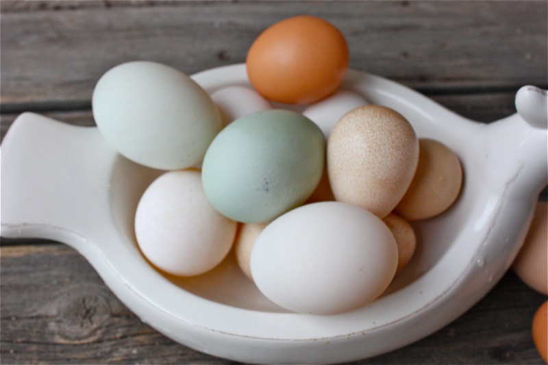 Loại trứng nào tốt nhất cho sức khỏe?