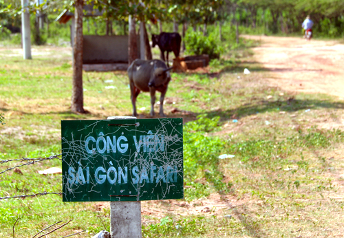 Dự án công viên lớn nhất Việt Nam để cỏ mọc hoang