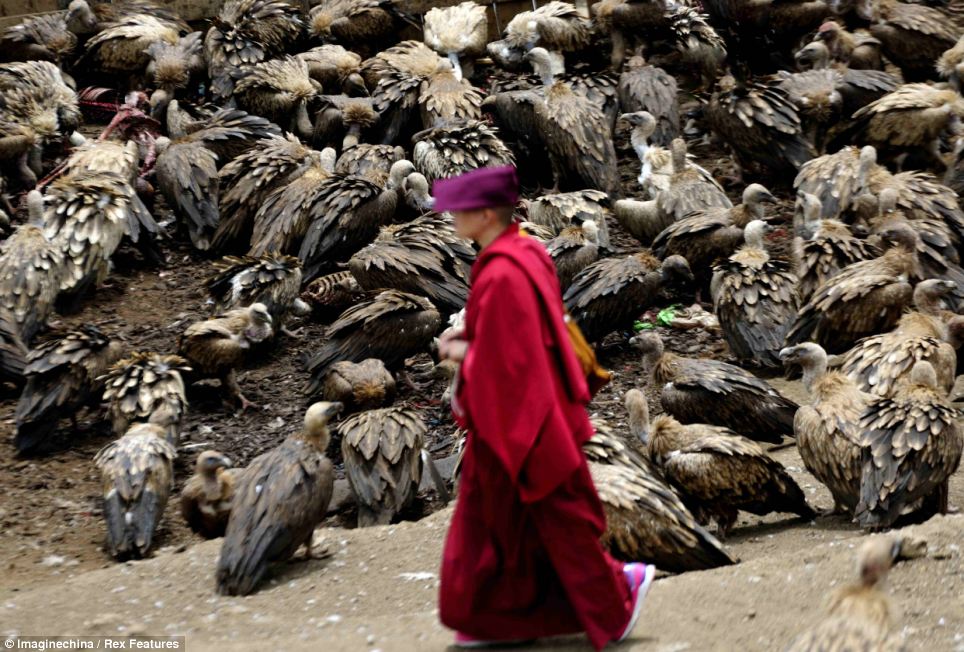 Tục Thiên táng ở Tây Tạng: Để linh hồn bay lên phóng khoáng