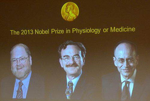 Nobel Y học 2013 vinh danh khoa học gia Mỹ và Đức