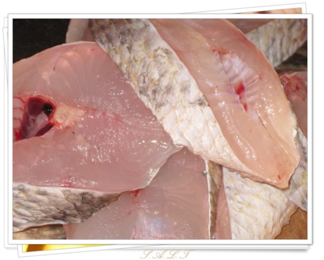 Phát hiện mẫu cá tầm, cá quả, cá trê chứa kháng sinh, chất cấm