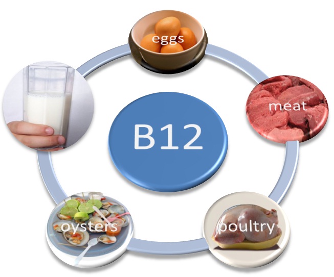 Tìm ra nguyên nhân gây thiếu vitamin B12