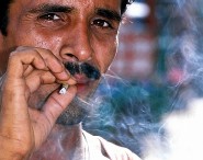 Hút thuốc lá gây bệnh COPD?