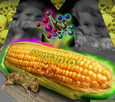 Mỹ: Thông qua luật dán nhãn thực phẩm biến đổi gene