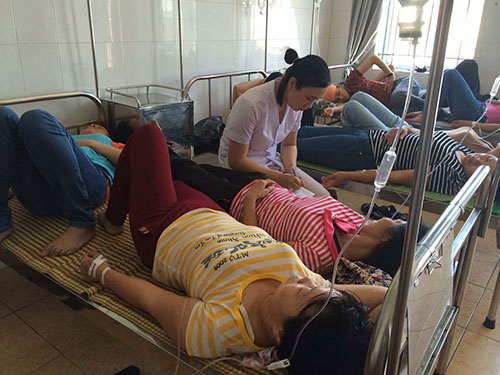 Vụ 170 công nhân nhập viện tại Thái Bình:  Vì đồ ăn nhiễm khuẩn E.coli