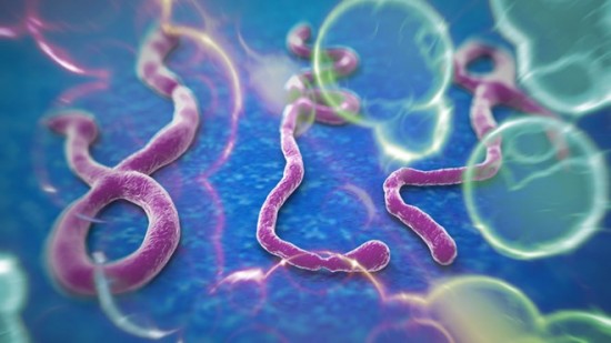 Sốt xuất huyết do virus Ebola: Nguy hiểm nhưng khó nhận biết