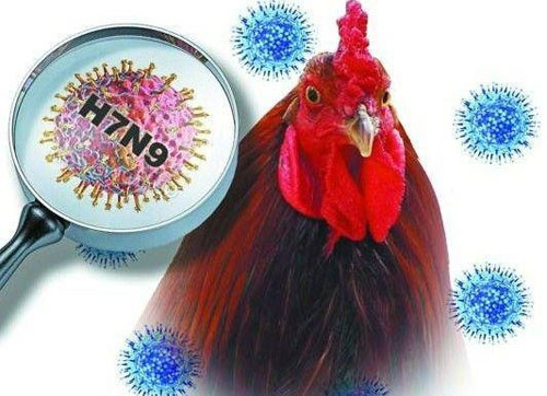 Cúm A/H7N9 nguy hiểm nhưng dễ phòng ngừa