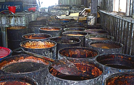 Dầu ăn bẩn ở Đài Loan: Không có sản phẩm nào công bố nhập khẩu vào Việt Nam