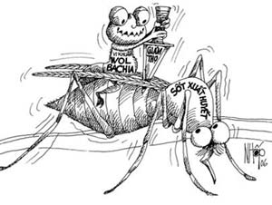 Thả muỗi chống sốt xuất huyết?