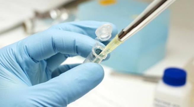 Việt Nam tham gia nghiên cứu vaccine ngừa sốt xuất huyết