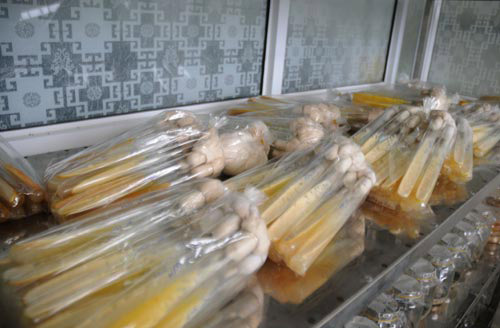 Việt Nam sản xuất được đông trùng hạ thảo giá 7 triệu đồng