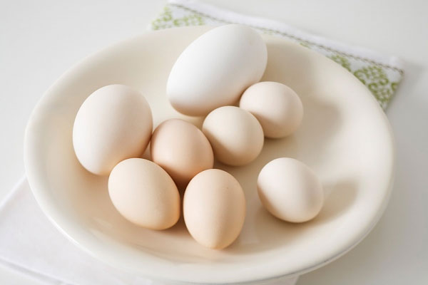 Người bị cholesterol cao vẫn ăn được trứng?