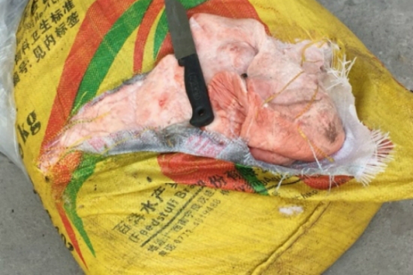 Hà Nội: bắt giữ và tiêu hủy 3,5 tấn nầm lợn không rõ nguồn gốc