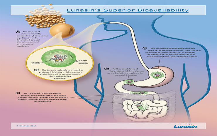Lunasin: Phát hiện mới cho hỗ trợ điều trị ung thư