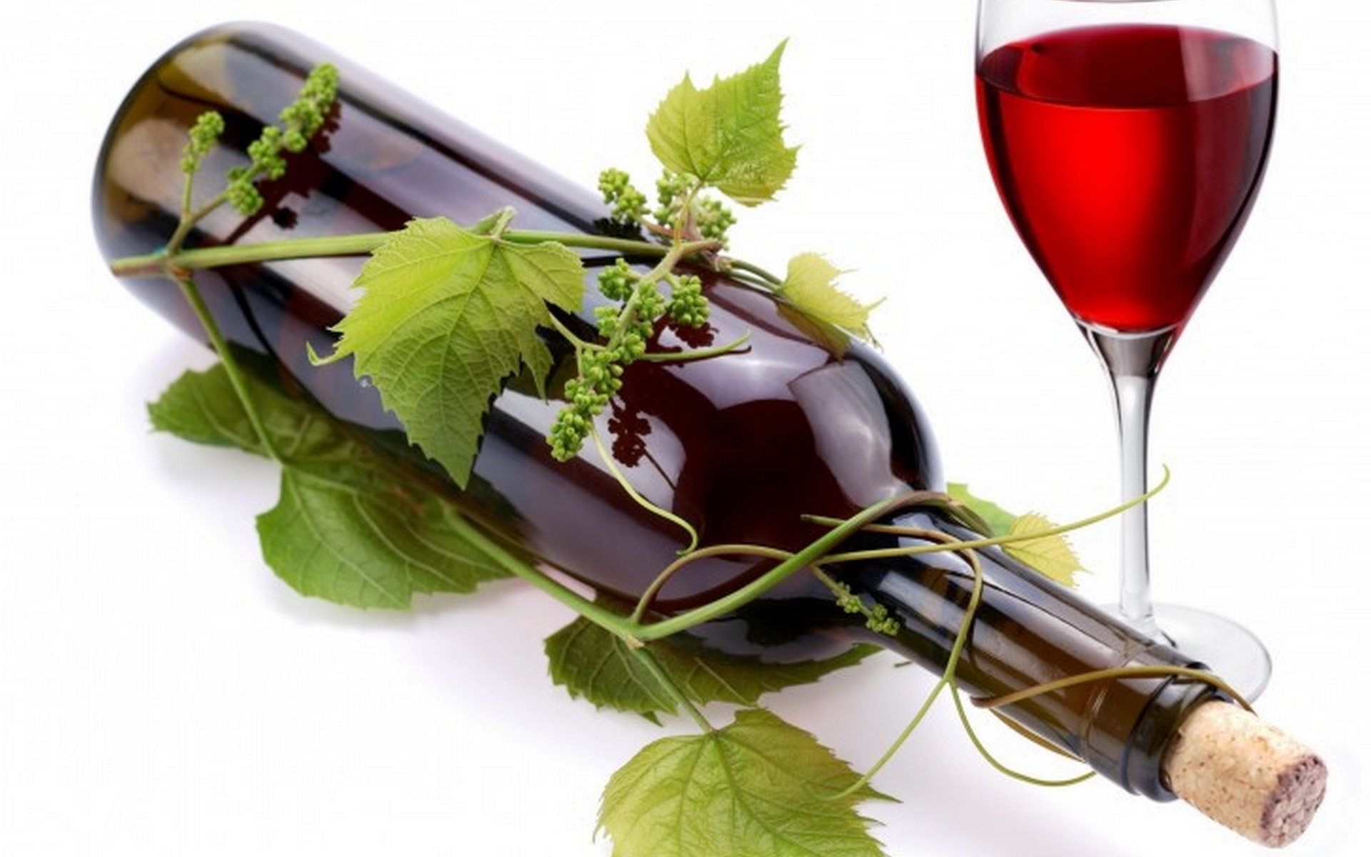 Tết: Bảo vệ gan với rượu vang đỏ