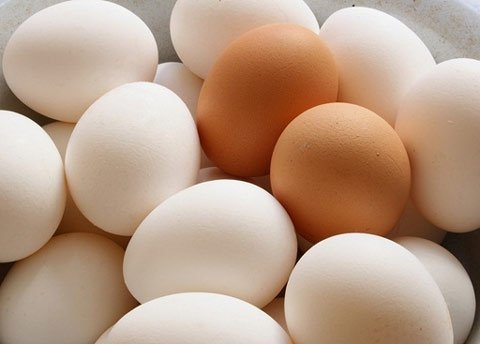 Ăn trứng gà vỏ trắng hay trứng gà vỏ hồng?
