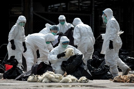 Hồng Kông xác nhận ca tử vong đầu tiên do cúm A/H7N9