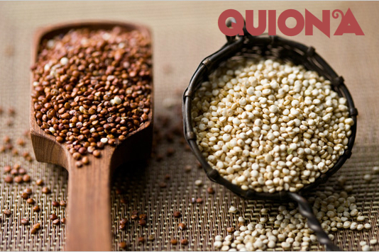 Infographic: Hạt quinoa - thực phẩm của tương lai