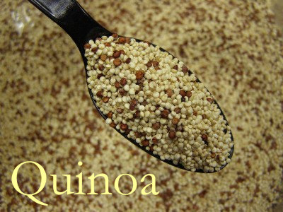 Hạt quinoa - bí quyết sống thọ của con người