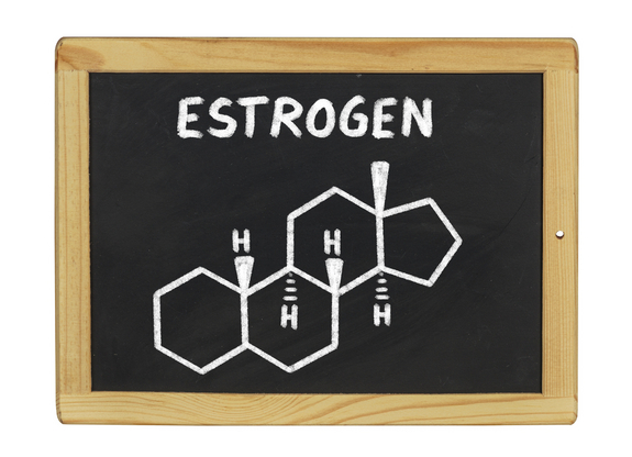 Estrogen không chỉ có trong cơ thể