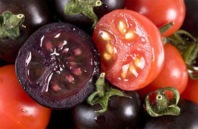 Cà chua đỏ, đen, vàng: Loại nào tốt hơn?