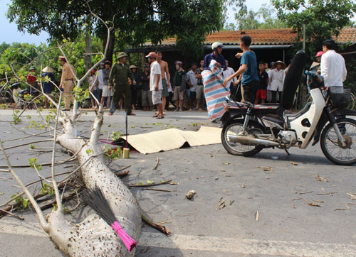 Lốc xoáy bất ngờ tại Hà Tĩnh khiến 1 người tử vong