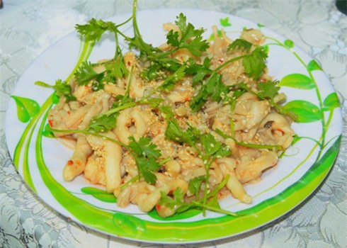 nam-bao-ngu-1375838864_500x0.jpg