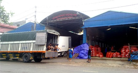 Xe tải đến nhập hàng ở các cơ sở thu gom, buôn bán hàng nông sản Trung Quốc. 