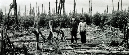 Tìm hiểu về chất độc màu da cam và nỗi ám ảnh sau chiến tranh Việt Nam