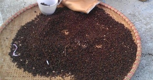 chăm bé, thực phẩm bẩn, kinh hãi