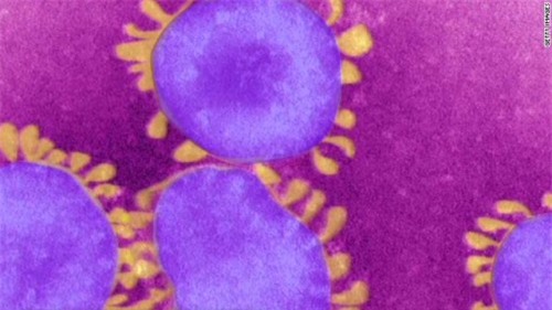 Virus MERS-Cov gây viêm phổi với các triệu chứng sốt, ho, khó thở và suy thận. Ảnh: cnn.com)