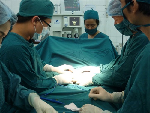 Các bác sĩ bệnh viện Nhi đồng 2 phẫu thuật cho trẻ dị tật bẩm sinh tại Phú Yên. Ảnh: N.T
