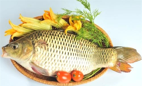 Món ăn, thuốc bổ từ cá chép