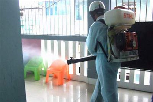 Xử trí sốt xuất huyết trong vùng nguy cơ có dịch