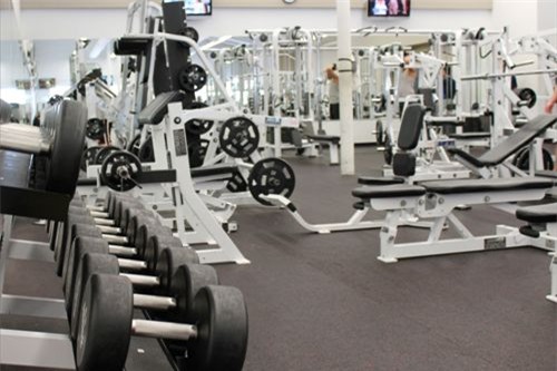 63% dụng cụ phòng gym chứa virus gây cảm lạnh. Ảnh: theweinblog.com