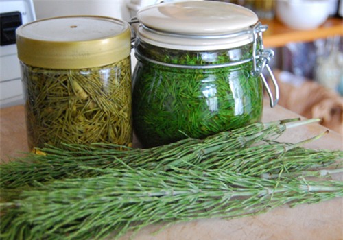 horsetail-preparations.jpg