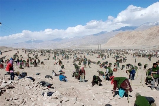 Thiết lập kỷ lục trồng cây tại Ladakh, Ấn độ năm 2010