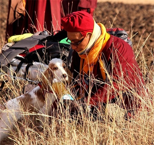 Đức Pháp Vương Gyalwang Drukpa đến Việt Nam